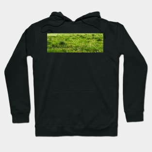 flowers in the countryside Hoodie